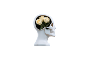 White skull model with yellow roses inside brain area symbolizes concept of beauty and life within mind. contrast between skull and flowers creates thought provoking image png