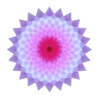 Vibrant, symmetrical mandala design with gradient of pink and purple hues, creating calming and harmonious visual effect. intricate pattern radiates from center, resembling blooming flower png