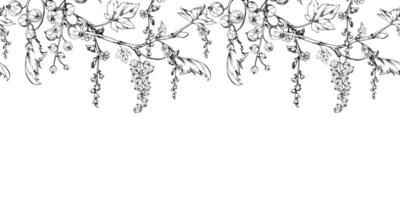 Currant gooseberry with long flower clusters on branch, leaves, hanging ripe garden casseille berry jostaberry. Hand drawn in ink. Isolated seamless banner border garland. Menu, farmers market vector