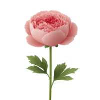 Delicate pink peony flower with lush petals and green leaves, showcasing its intricate beauty and elegance. flower is isolated on transparency background, highlighting its vibrant colors png