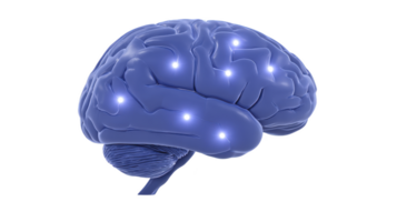 Digital illustration of blue brain with glowing nodes represents neural connections and cognitive processes. image conveys sense of intelligence and innovation png