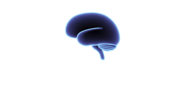 Glowing blue brain illustration on transparency background, showcasing stylized and futuristic design. image highlights brain contours and structure, evoking sense of innovation and technology png