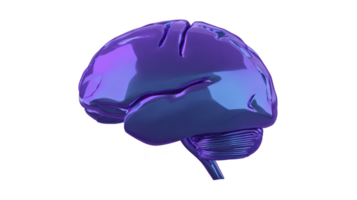 Shiny, abstract 3D rendering of brain in vibrant purple and blue hues, showcasing futuristic and creative design. smooth, reflective surface adds modern and artistic touch png