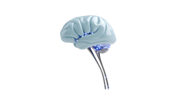 Futuristic, abstract representation of human brain with glossy, metallic finish and glowing blue lights, symbolizing advanced technology and innovation png