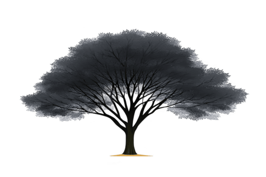grande, simétrico árbol con amplio pabellón y intrincado ramas soportes solo, creando sereno y natural silueta en contra llanura antecedentes png