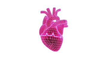 Digital representation of human heart in vibrant pink wireframe style, featuring ECG line across it, symbolizes modern healthcare technology and innovation png