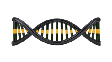 3D illustration of DNA double helix model with black and yellow strands, showcasing structure of genetic material. design is simple and educational, ideal for scientific presentations png