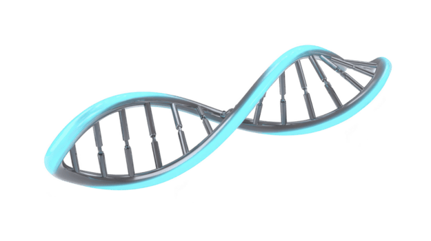 3D illustration of DNA double helix with glowing blue outline, representing genetic science and biotechnology. structure is isolated on transparency background, emphasizing its intricate design png