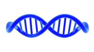 Blue 3D DNA helix model is depicted, showcasing iconic double helix structure. image highlights twisted ladder like appearance, representing genetic information png