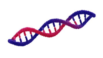 Colorful 3D illustration of DNA double helix, showcasing gradient from red to blue, symbolizing genetic research and biotechnology. vibrant colors highlight structure complexity png