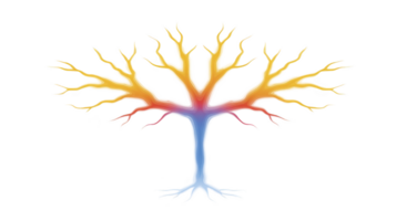 Vibrant, abstract tree with colorful branches radiating from central trunk, resembling neural pathways or lightning. gradient transitions from blue base to warm yellows and reds tips png