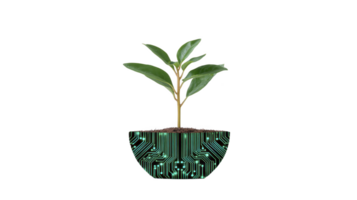 Small plant with green leaves grows from pot designed with circuit board pattern, symbolizing fusion of nature and technology png