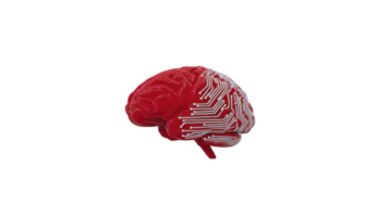 Red brain with circuit patterns symbolizes fusion of technology and human intelligence, representing concepts like artificial intelligence and neural networks png