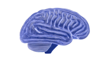 Digital illustration of human brain with glowing blue lines and dots, representing neural connections and technology. image conveys futuristic and scientific theme png