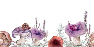 Colorful mushrooms with snails vector