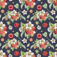 Floral pattern with raspberries and flowers vector