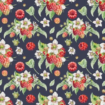 Raspberry dewberry flower buds, leaves, ripe forest garden berries bunch group, hand drawn in watercolor. Seamless pattern isolated on dark. Dessert cafe menu, farmers market grocery, wrapping paper