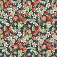 colorful floral berry pattern vector