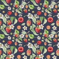 Raspberry floral pattern with leaves vector