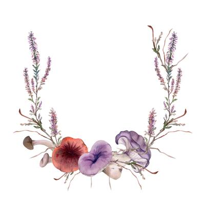 Russula webcap mushroom, snail on top, heather flowers, moss lichen growth. Forest floor habitat nature scene. Wreath frame hand drawn in watercolor. Label, tag design, menu recipe, wild food market