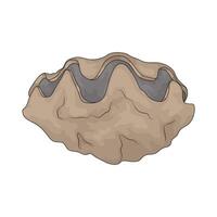 Clam Shell illustration vector