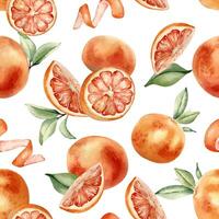 watercolor oranges pattern vector
