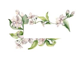 Floral frame with watercolor design vector