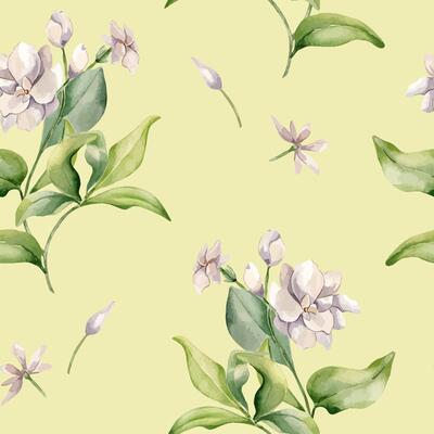Watercolor seamless pattern of Jasmine bush, buds, leaves isolated. Pink blossom plants botanical style hand drawn on repeating texture. Floral background in pale tones for design textile, wallpaper