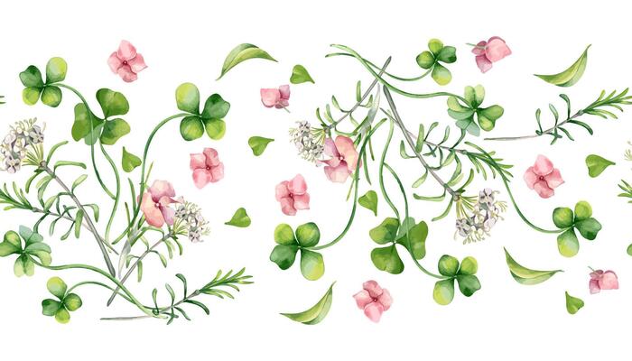 Seamless floral border with pink hydrangea, clover and white flowers watercolor illustration isolated. Realistic spring plants on repeated background hand drawn. Botanical design for banner, textile