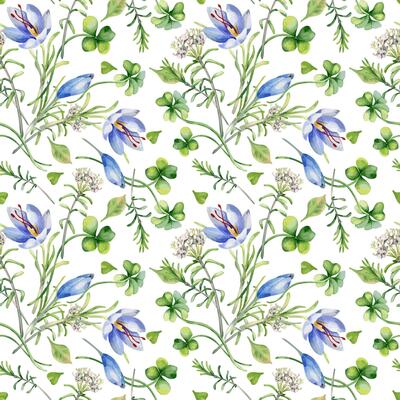 Wildflowers watercolor seamless pattern with clover, blue crocus, white labrador tea isolated. Botanical repeated background of flowers and leaves hand drawn. Foliage floral design for textile