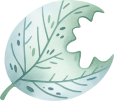 Delicate leaf texture and pattern png