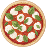 Margherita Pizza with Fresh Basil and Mozzarella png