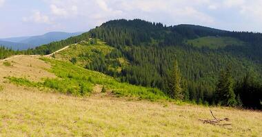 Beautiful Valley In Carpathian Mountains. Panorama Landscape View in the Ukrainian Carpathian Mounrains. video