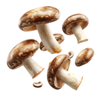 Brown Mushrooms Falling PNG Against Transparent Background for Organic Food, Culinary Design, or Natural Ingredient Promotions