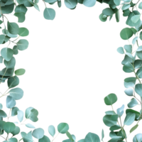 Eucalyptus Leaves Frame PNG Against Transparent Background for Greenery Border, Botanical Design, or Nature-Inspired Artwork