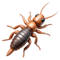 alluring traditional Earwig, cerci pincers at the abdomen tip, detailebody, top-down view, soft lighting, minimalist, with transparent background,high-resolution product photography original png