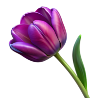 serene tropical Single purple tulip with variegatepetals, long stem, studio lighting, top-down view, isolateon transparent background,high-resolution product photography expertly shot png