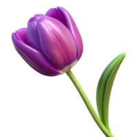 stunning exemplary Single purple tulip with variegatepetals, long stem, studio lighting, top-down view, isolateon transparent background,high-resolution product photography png