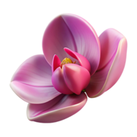 exquisite unforgettable Pink orchibud, closepetals, glossy surface, dramatic lighting, photorealistic, isolateon transparent background,high-resolution product photography png