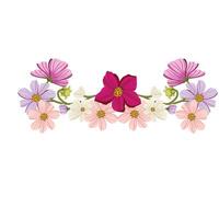 Flower Cosmos arrangement color simple wedding white wild bloom center wild vector