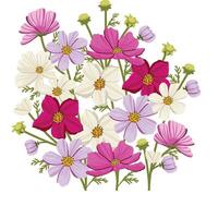 Flower Cosmos arrangement color simple wedding white pink purple vector