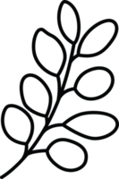 Minimal Botanical Branch with Round Leaves png