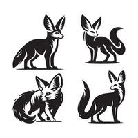 fennec fox illustration vector