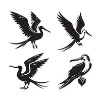 silhouette of magnificent frigatebird vector
