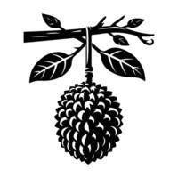 Two Jackfruits on Tree Branch Silhouette vector