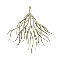 Root of tree, bush or shrub, rootstalk. Botany or dendrology element illustration vector