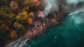 A forest on fire by the sea, top view photo
