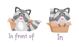 Learning English preposition set. Cute cat in front of and in the box. Educational visual material cartoon illustration vector