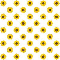 Seamless pattern with yellow flowers or sunflowers on white background.Floral wallpaper.Surface for textile.Decoration ornament.Wrapping paper.Summer or spring. vector