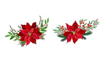 Red poinsettia flower set. Christmas decorations with beautiful flower, fir tree branches and holly illustration vector